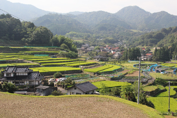 狩留家の田園風景