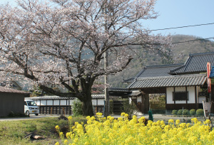 狩留家本陣 割庄屋跡